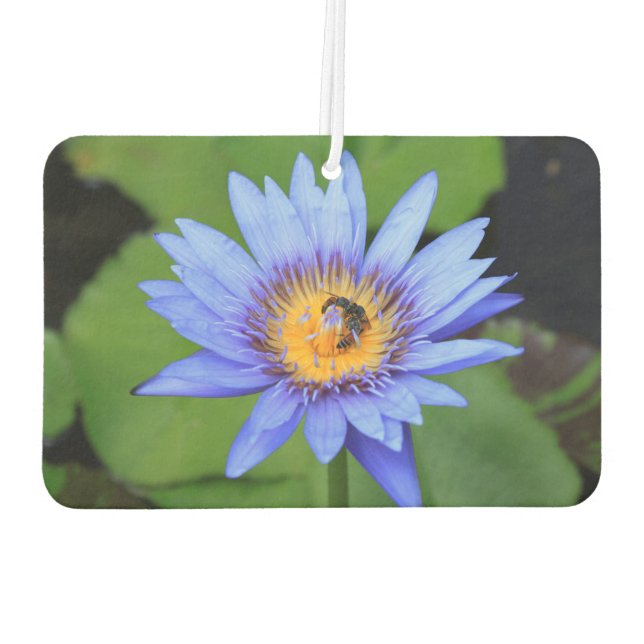 Lotus flower car air freshener (Back)