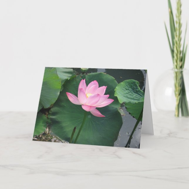 Lotus flower card (Front)