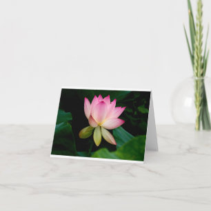 Lotus Flower - Carte pliée vierge