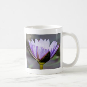 Lotus Flower Coffee Mug