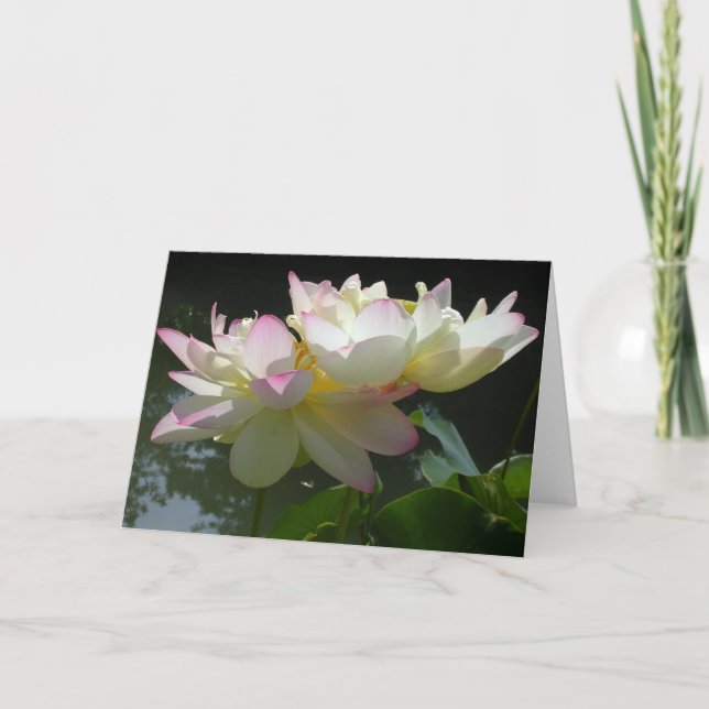 Lotus Flower Duet Card (Front)