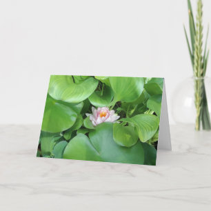 Lotus Flower- Folded Greeting Card