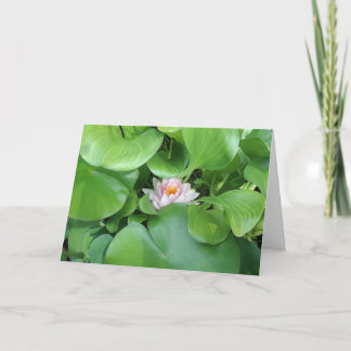 Lotus Flower- Folded Greeting Card