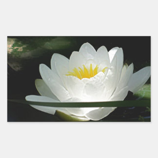 Lotus Flower Gifts Sticker