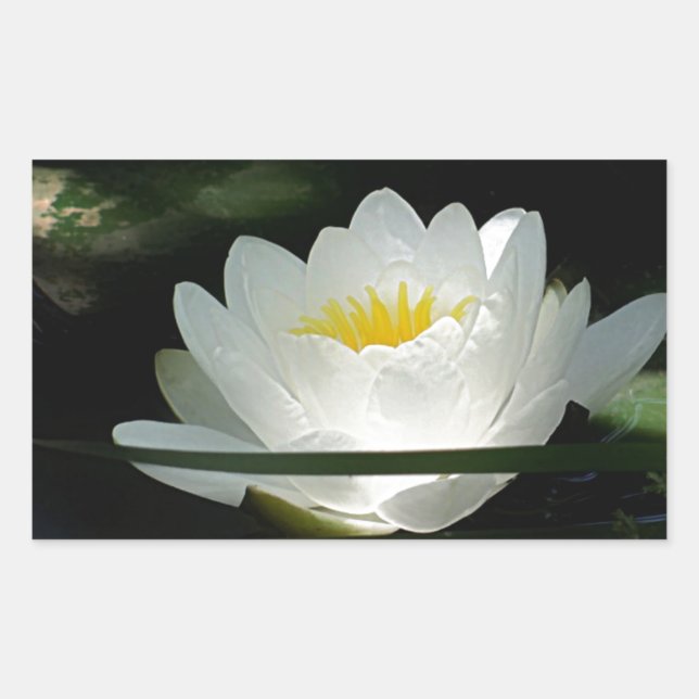Lotus Flower Gifts Sticker (Front)