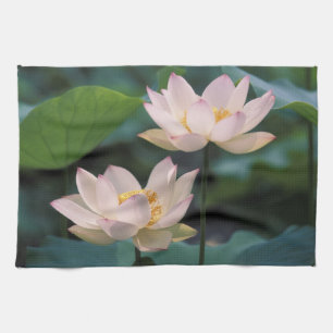 Lotus flower in blossom, China Kitchen Towel
