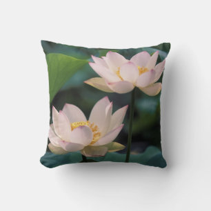Lotus flower in blossom, China Throw Pillow