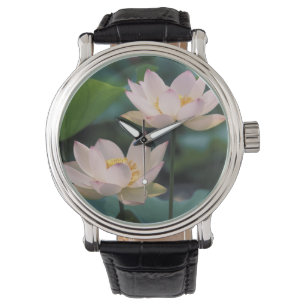 Lotus flower in blossom, China Watch