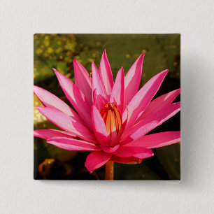Lotus Flower in the Nature 2 Inch Square Button