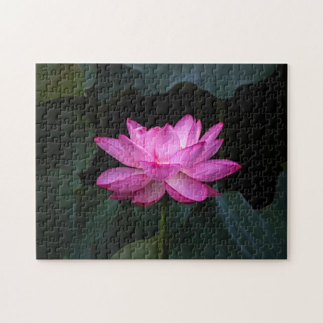 Lotus Flower Jigsaw Puzzle (Horizontal)
