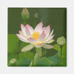 Lotus Flower Magnet