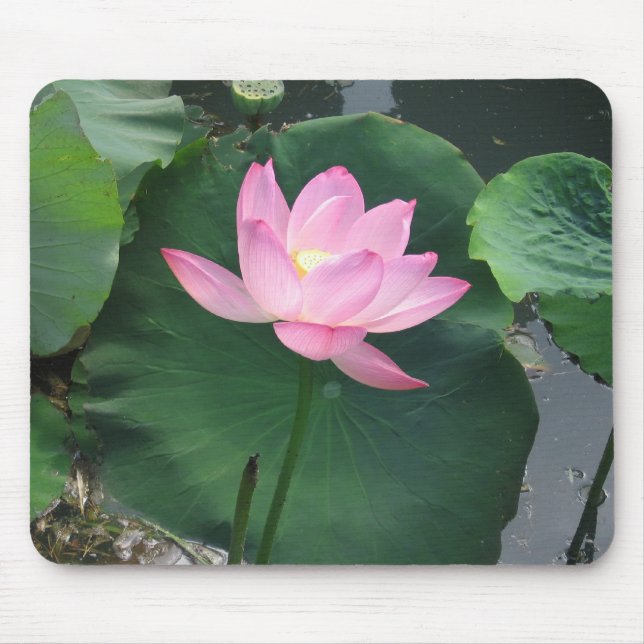 Lotus flower mouse pad (Front)