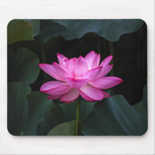 Lotus Flower Mouse Pad