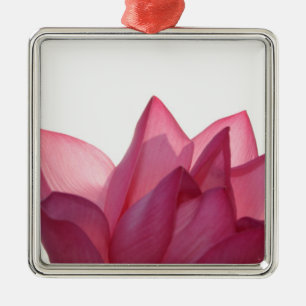 Lotus flower [Nelumbio speciosum] in full Metal Ornament