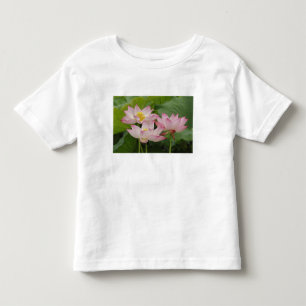 Lotus flower, Nelumbo nucifera, China 2 Toddler T-shirt