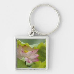 Lotus flower, Nelumbo nucifera, China Keychain