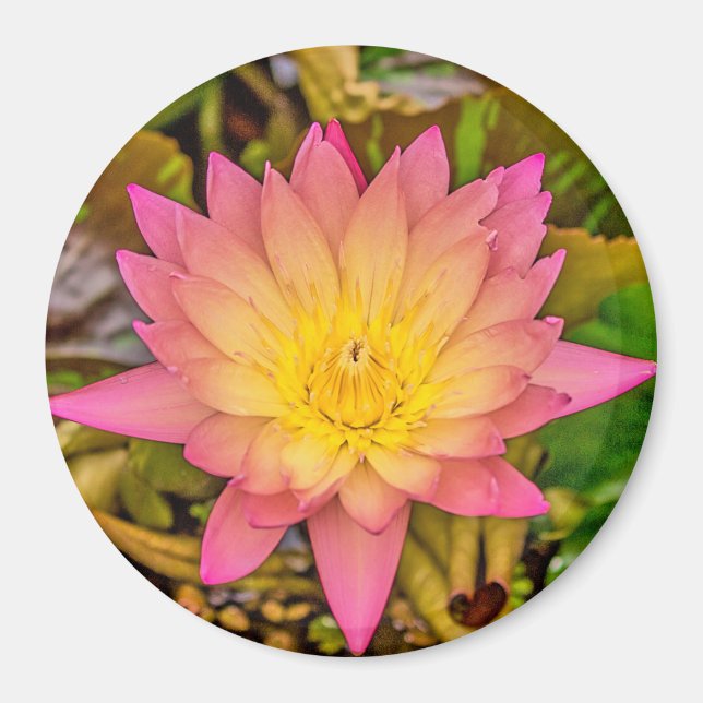 Lotus Flower of Life Magnet (Front)