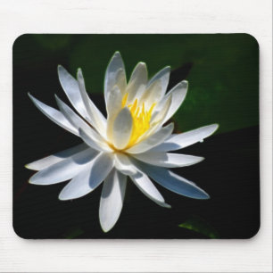 Lotus flower or waterlily and meaning mouse pad