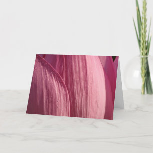 Lotus Flower Petals Pink Floral Card