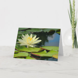 Lotus Flower (Photog.) with Buddha Quote inside Card