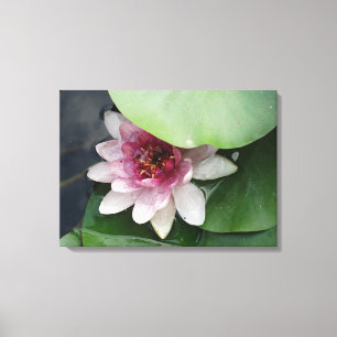 Lotus Flower Photography Canvas Print