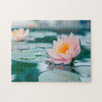 Lotus Flower Pond
