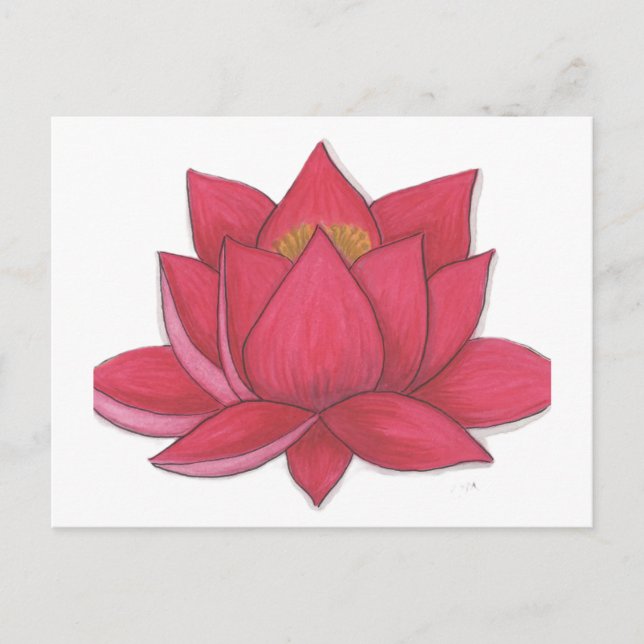 Lotus Flower Postcard (Front)