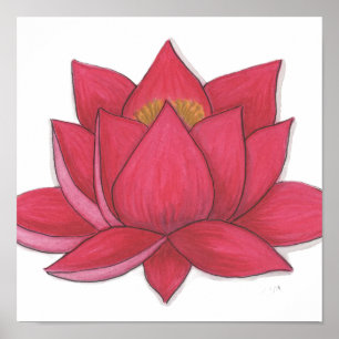 Lotus Flower Poster