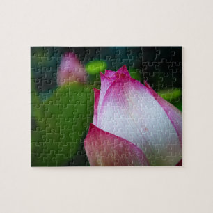 Lotus flower - Puzzles