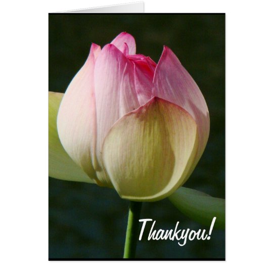 Lotus Flower Thankyou Card