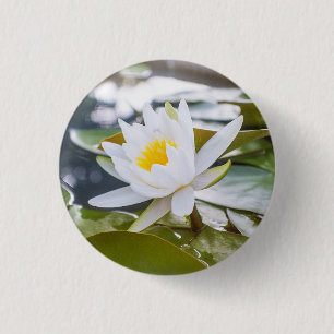 Lotus flower white colour in the pond 1 inch round button