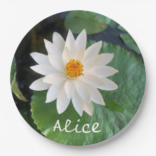 Lotus flower white colour in the pond with name paper plate
