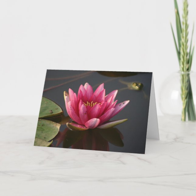 Lotus flower with frog card (Front)