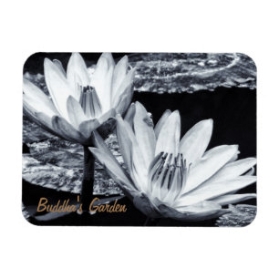 Lotus Flowers & Buddha's Secret Garden /Meditation Magnet
