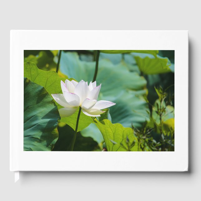 Lotus Guest Book (Front)
