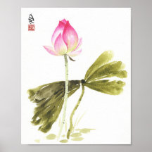 Lotus in Quiet Reflection
