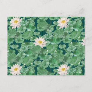 Lotus Lagoon Pattern - The White Lotus Postcard