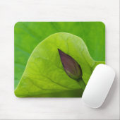 Lotus Leaf and Bud | North Carolina Mouse Pad (With Mouse)