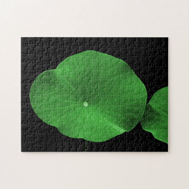 Lotus Leaves Jigsaw Puzzle (Horizontal)