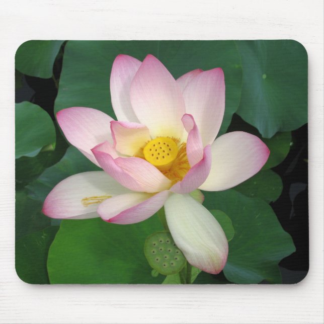 Lotus Mouse Pad (Front)