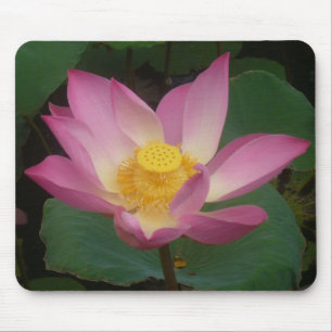 Lotus mouse pad