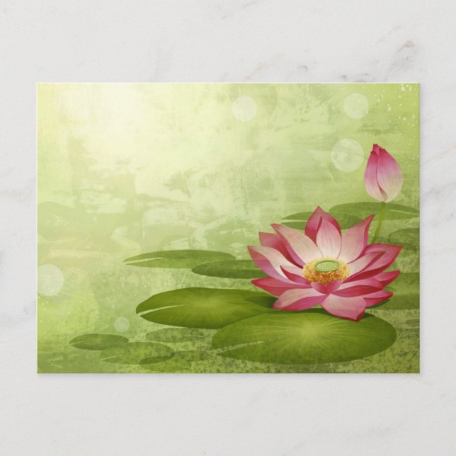 Lotus Postcard (Front)