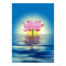 Lotus Reflection