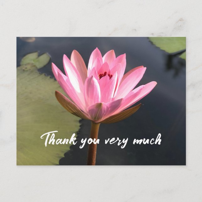 Lotus rose dans la carte de remerciements de l'éta (Devant)