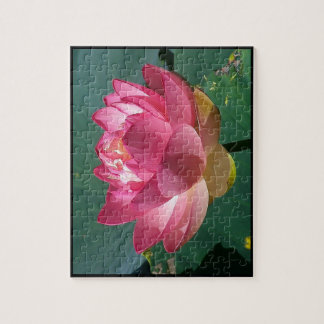 Lotus rose - Puzzle