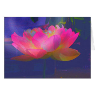 Lotus sauvage