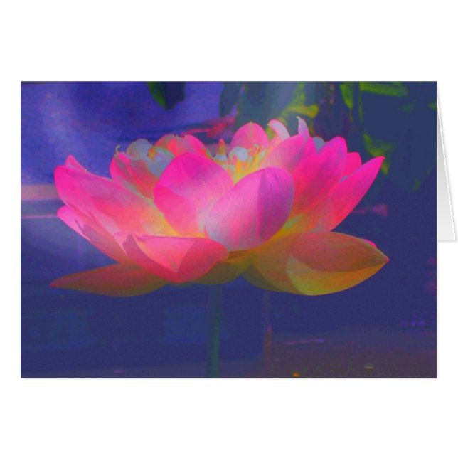 Lotus sauvage (Devant horizontal)
