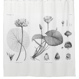 Lotus Shower Curtain