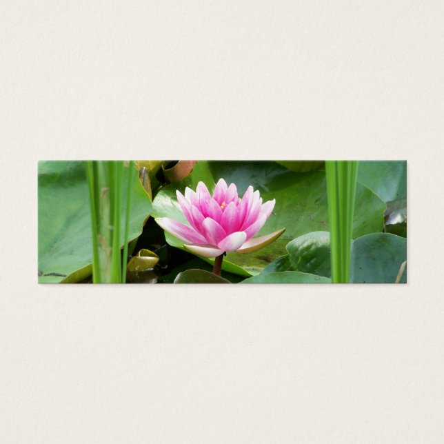Lotus Signet (Devant)