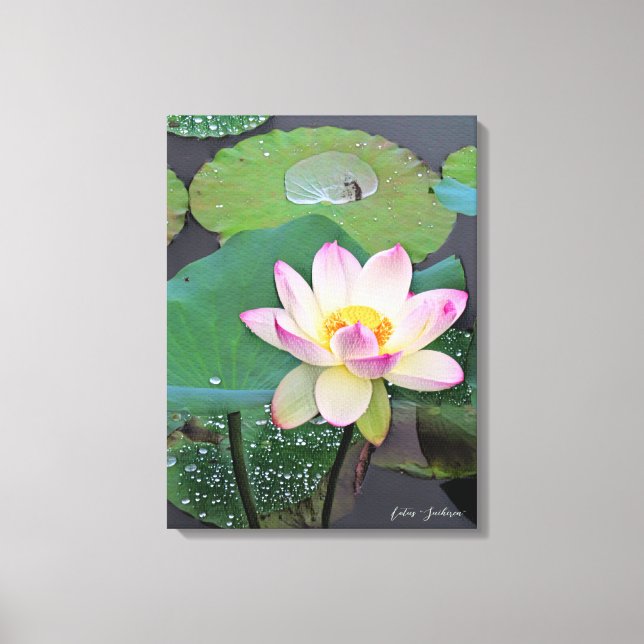 Lotus "Suihiren" Canvas Print (Front)